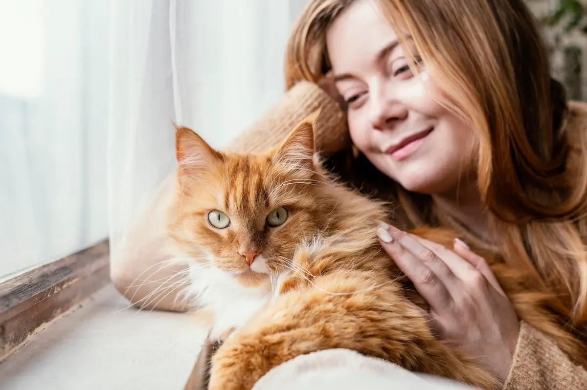 Cuánto vive un gato doméstico Hola Vet