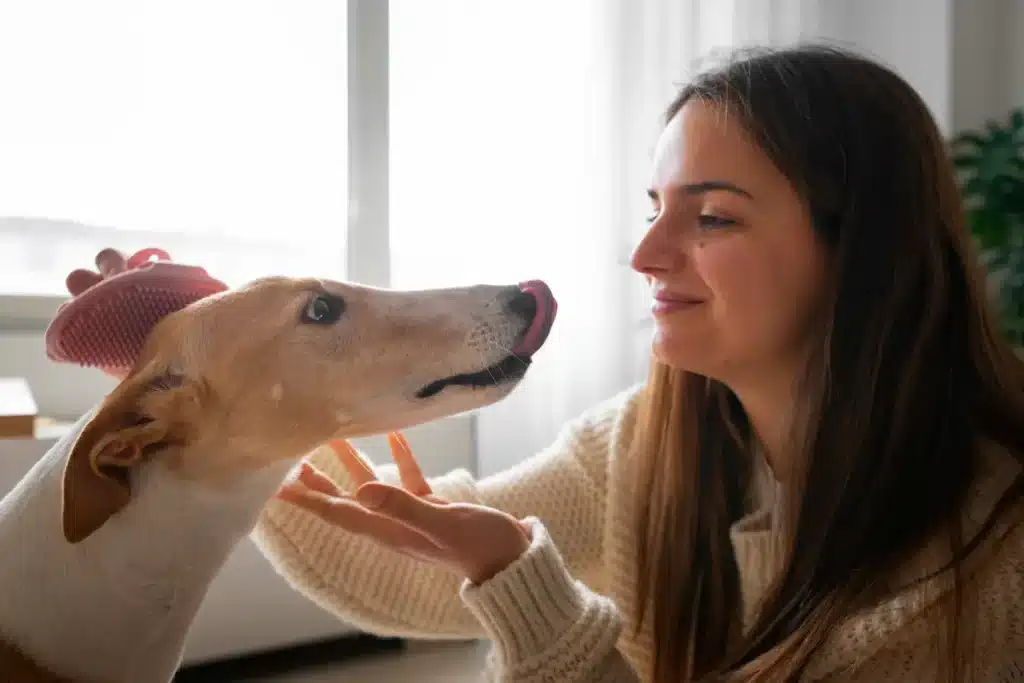 mi perro me mira