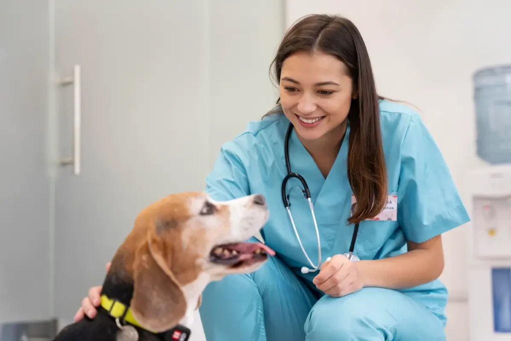 infección urinaria en mascotas