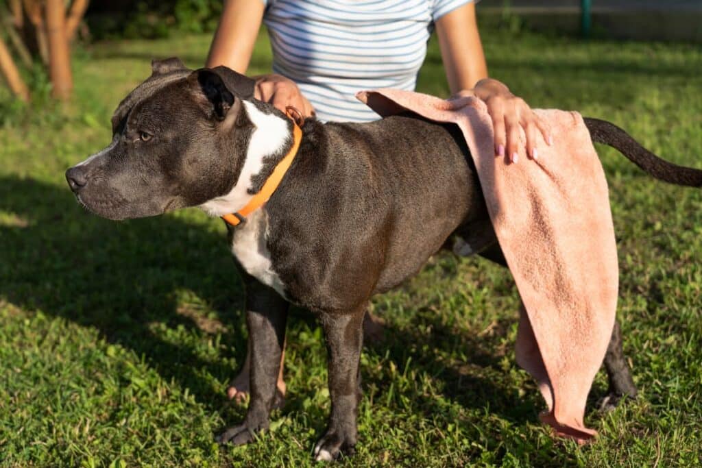 contractura en perros