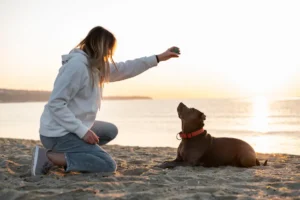 Refuerzo positivo en perros